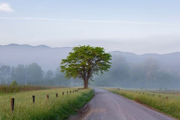 Hyatt Lane in fog Cades Cove Great Smoky Mountains National Park-Tennessee